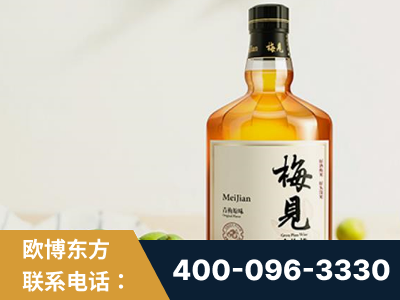 鹤山-梅见青梅酒